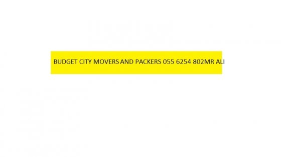 BUDGET CITY MOVERAND PACKERS L.L.C 055 6254 802
