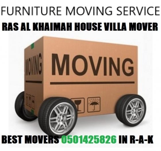 Downtown Dubai Flat Mover Packer 0501425826