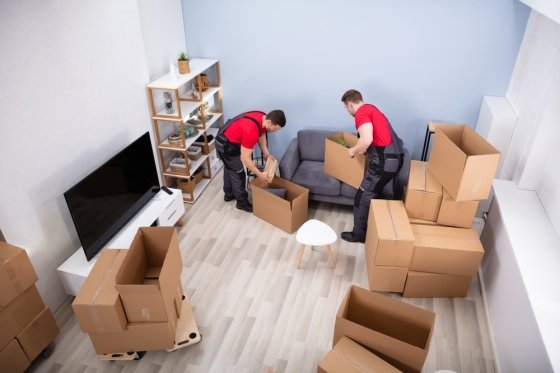 Movers Packers in Alin
