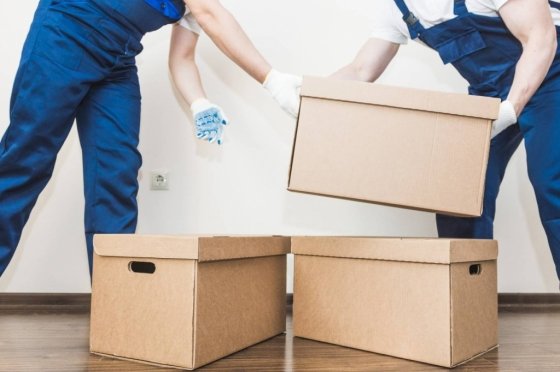 Best Movers In UAE